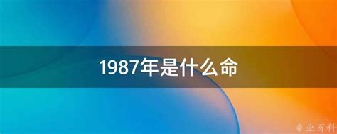 1987年是什么年|1987年